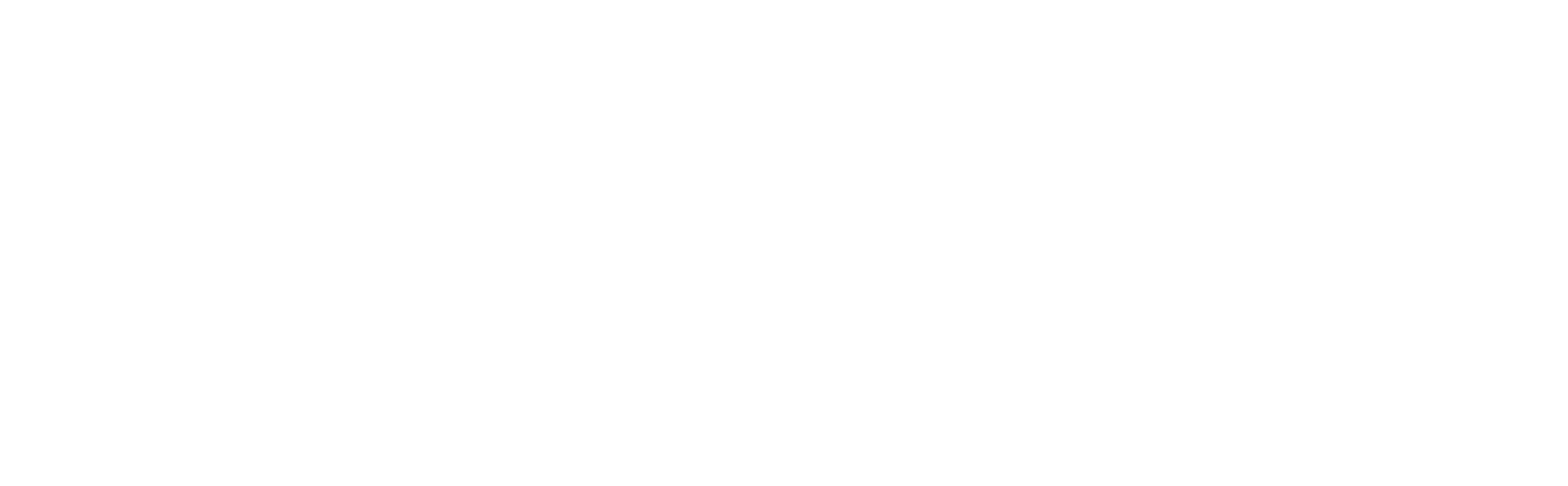 Intranova logotyp